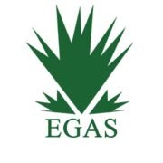 EGAS